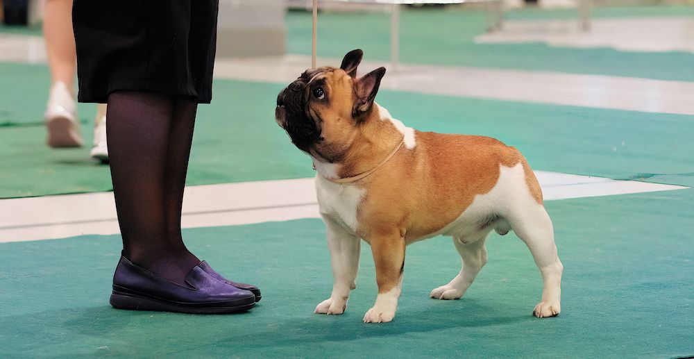 Editorial: July 21, 2023